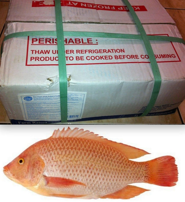 Red Tilapia 5 kg